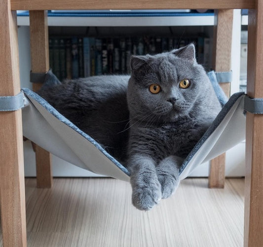 ISLE OF EMERALD Saveplace® hammock for pets & storage