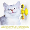 Cats Whirling LED Balls